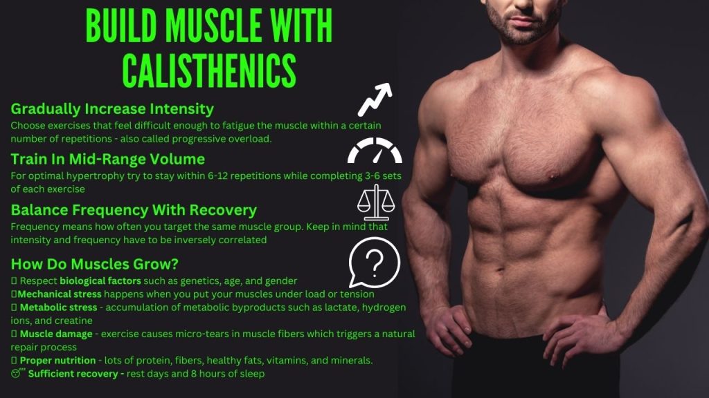 how-to-build-muscle-with-calisthenics-calisthenics-workouts-equipment