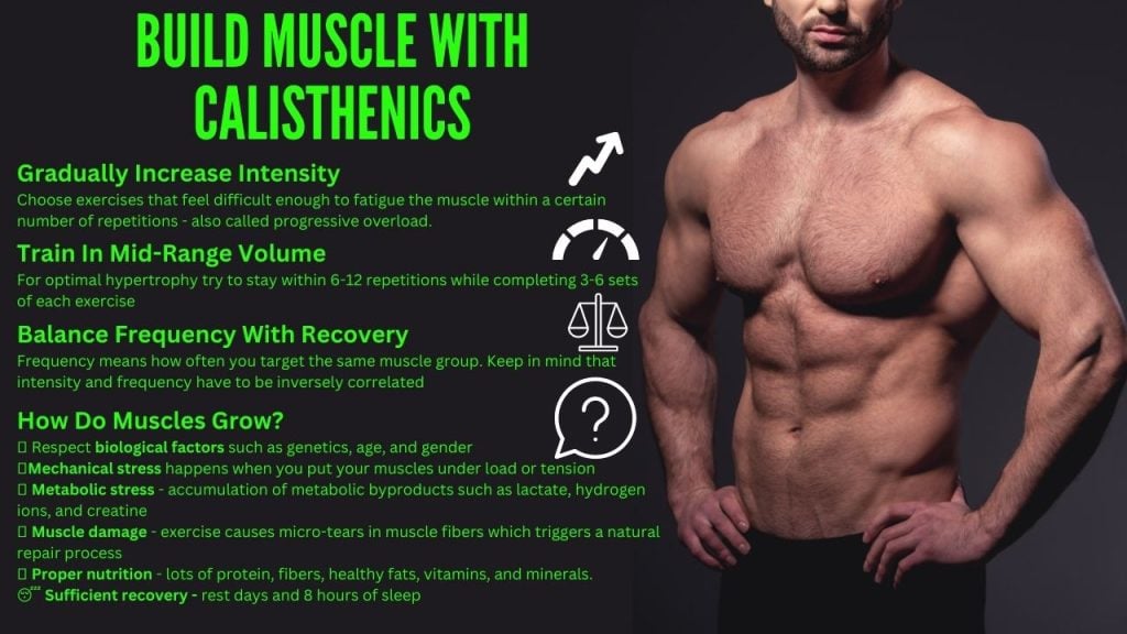 How To Build Muscle With Calisthenics CALISTHENICS Workouts Equipment