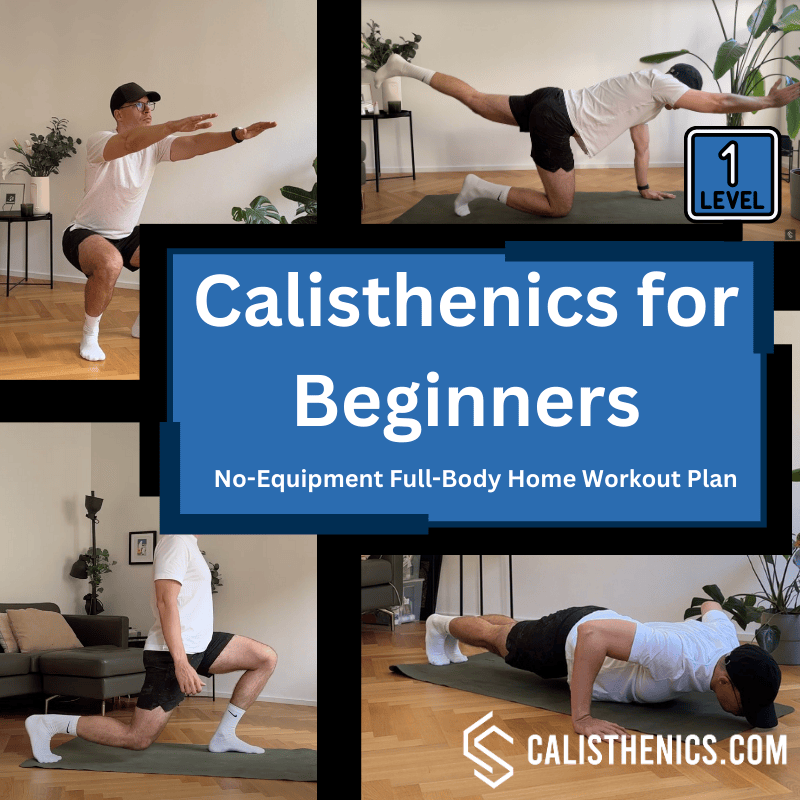 no equipment full body home workout plan for beginners