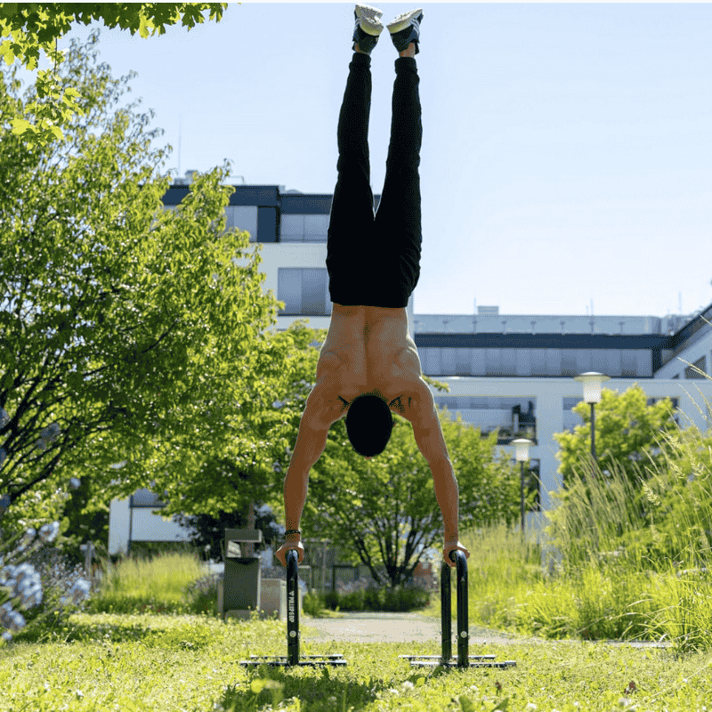 stable metal parallettes