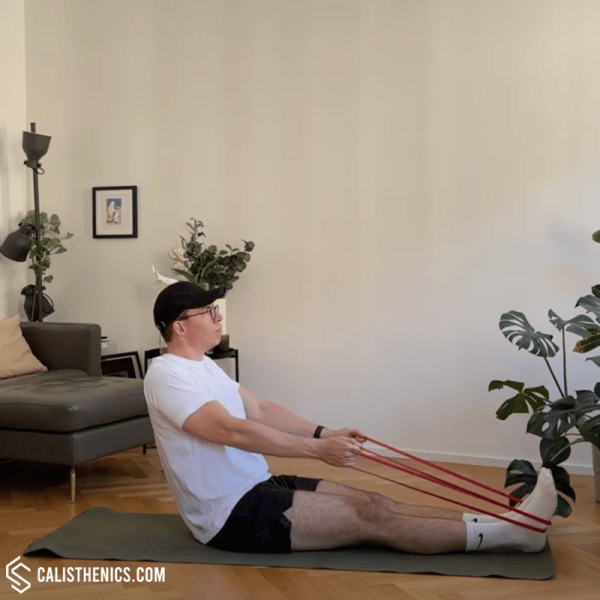 resistance band scapula rows