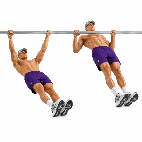 inverted row