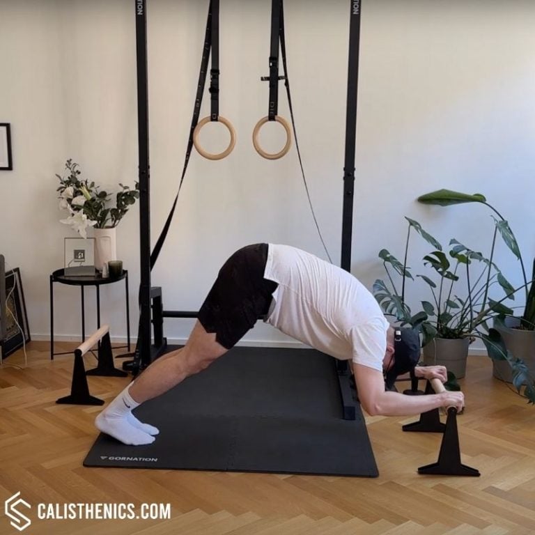 triceps extensions on parallette