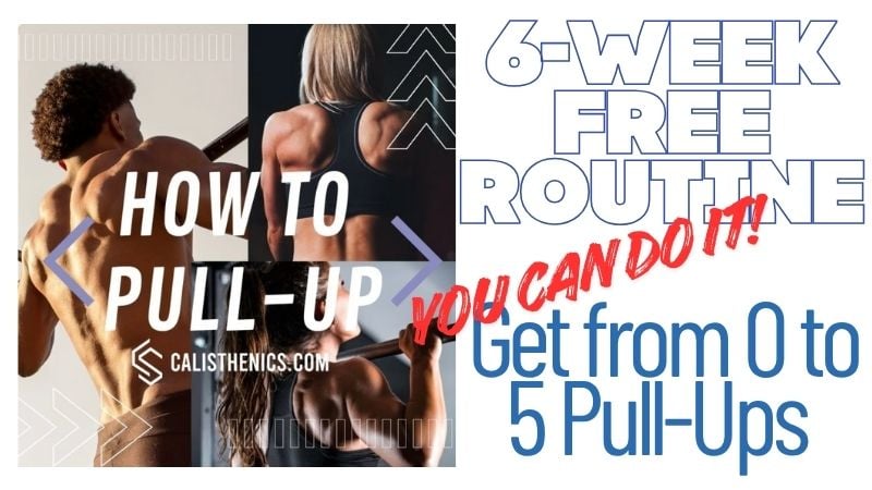 free calisthenics routine pull up