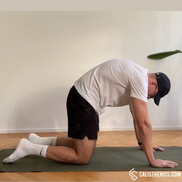 cat cow thoracic mobilization exercise