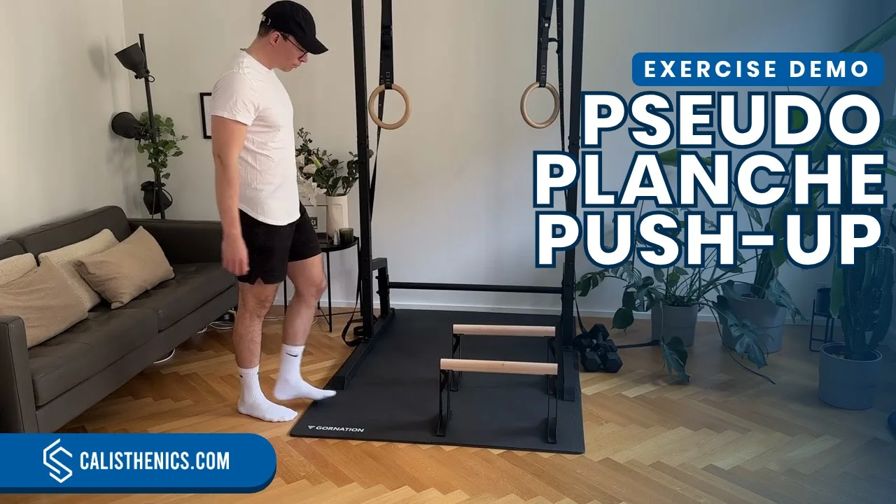 Pompe Musculation Planche De Pompes Pliable Feenao - 24 Exercices Pour Le Haut Du Corps Feenao Push Up Board