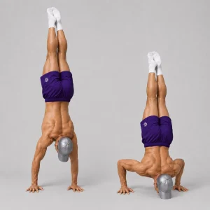 freestanding handstand push up