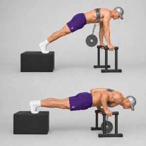 weighted push up with dip belt