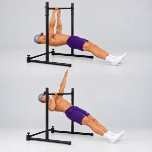 one arm bodyweight row on low bar